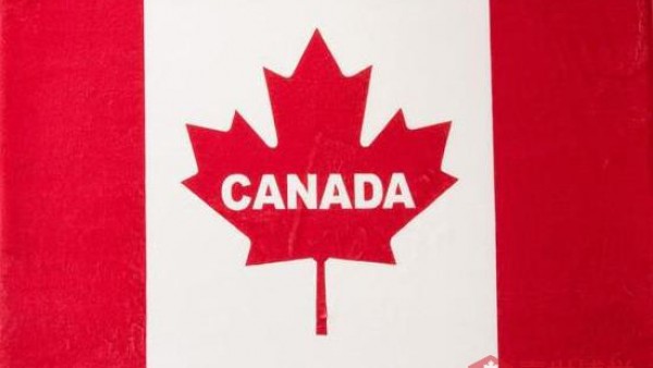 加拿大大签续签能在国内办吗？