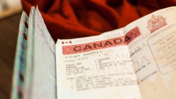 加拿大大签寄丢失了，人在中国怎么办？如何申请补办？